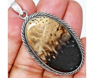 Palm Root Fossil Agate Pendant EXP01141 P-1074, 22x39 mm