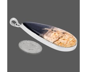 Palm Root Fossil Agate Pendant EXP01467 P-1001, 24x44 mm