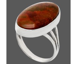 Rare Cady Mountain Agate Ring size-10 EXR01864 R-1003, 14x22 mm