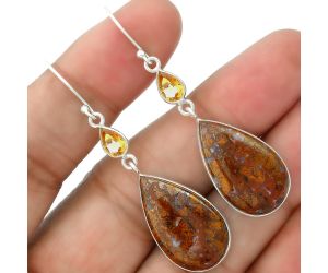 Natural Red Moss Agate and Citrine Earrings SDE35684 E-1002, 14x24 mm