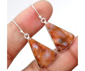 Natural Pietersite Earrings SDE40743 E-1001, 15x21 mm