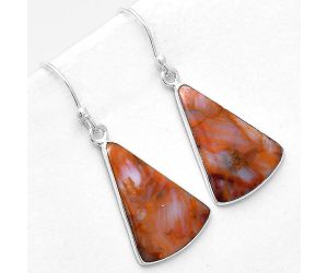 Natural Pietersite Earrings SDE40743 E-1001, 15x21 mm