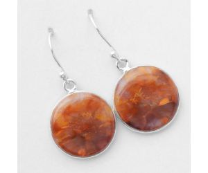 Natural Pietersite Earrings SDE40905 E-1001, 16x16 mm