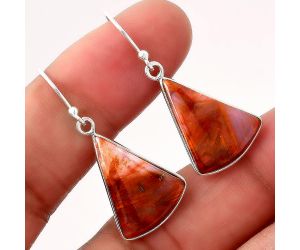 Natural Pietersite - Namibia Earrings SDE45457 E-1001, 15x19 mm