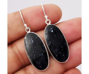 Natural Black Root Plume Agate Earrings SDE45876 E-1001, 12x26 mm