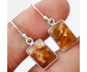 Natural Pietersite - Namibia Earrings SDE47704 E-1001, 9x12 mm