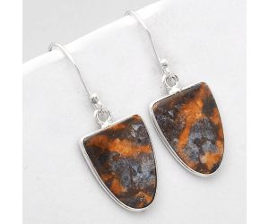 Natural Indian Blanket Jasper Earrings SDE48821 E-1001, 13x17 mm