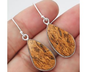 Natural Coquina Fossil Jasper - India Earrings SDE55264 E-1001, 12x22 mm