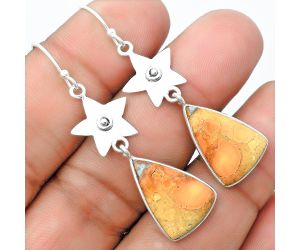 Star - Maligano Jasper - Indonesia Earrings SDE55966 E-1094, 13x19 mm