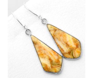 Natural Coral Jasper Earrings SDE56379 E-1001, 14x29 mm