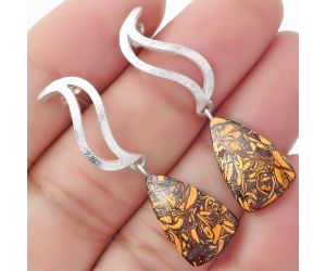 Natural Coquina Fossil Jasper - India Earrings SDE57144 E-1204, 11x18 mm