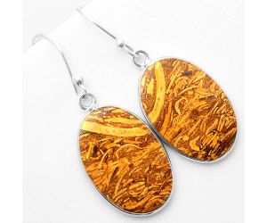 Natural Coquina Fossil Jasper - India Earrings SDE57410 E-1001, 15x23 mm