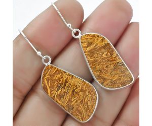 Natural Coquina Fossil Jasper - India Earrings SDE61381 E-1001, 14x27 mm