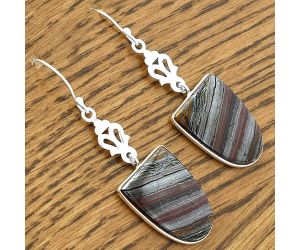 Natural Iron Tiger Eye Earrings SDE61409 E-1094, 16x22 mm