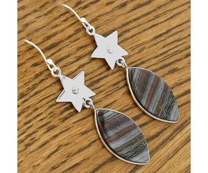 Star - Natural Iron Tiger Eye Earrings SDE61622 E-1094, 13x26 mm