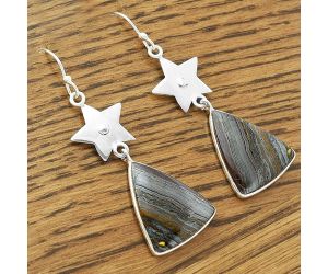 Star - Natural Iron Tiger Eye Earrings SDE61626 E-1094, 18x21 mm