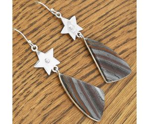 Star - Natural Iron Tiger Eye Earrings SDE61638 E-1094, 17x33 mm