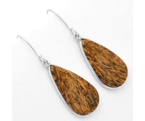 Natural Coquina Fossil Jasper - India Earrings SDE62450 E-1001, 14x26 mm