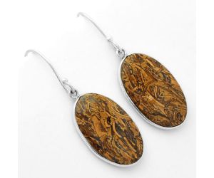 Natural Coquina Fossil Jasper - India Earrings SDE62454 E-1001, 14x23 mm