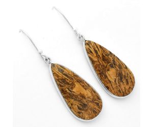 Natural Coquina Fossil Jasper - India Earrings SDE62455 E-1001, 13x26 mm