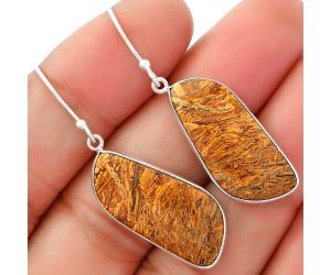 Natural Coquina Fossil Jasper - India Earrings SDE62463 E-1001, 12x26 mm