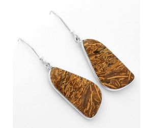 Natural Coquina Fossil Jasper - India Earrings SDE62469 E-1001, 13x26 mm