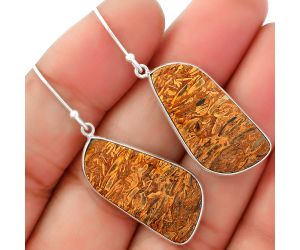 Natural Coquina Fossil Jasper - India Earrings SDE62470 E-1001, 14x28 mm