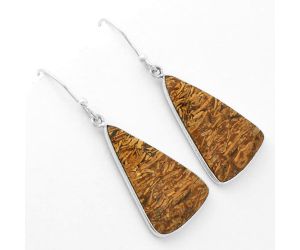 Natural Coquina Fossil Jasper - India Earrings SDE62477 E-1001, 15x25 mm