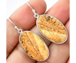 Natural Picture Jasper Earrings SDE69018 E-1001, 14x24 mm