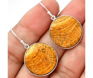 Natural Picture Jasper Earrings SDE70848 E-1001, 20x20 mm