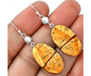 Natural Picture Jasper Earrings SDE71449 E-1031, 14x25 mm