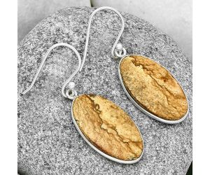 Natural Picture Jasper Earrings SDE71633 E-1001, 14x24 mm