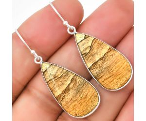 Natural Picture Jasper Earrings SDE72288 E-1001, 14x27 mm