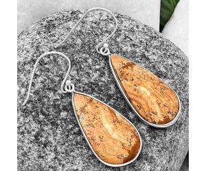 Picture Jasper Earrings SDE75832 E-1001, 14x26 mm