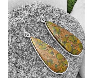 Fruit Jasper Earrings SDE76119 E-1001, 12x31 mm