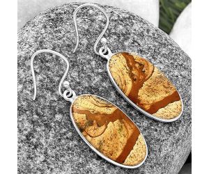 Picture Jasper Earrings SDE76764 E-1001, 13x25 mm