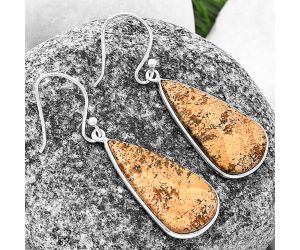 Picture Jasper Earrings SDE76874 E-1001, 14x26 mm