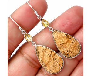 Picture Jasper and Citrine Earrings SDE77533 E-1002, 14x23 mm