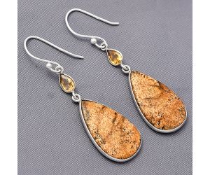 Picture Jasper and Citrine Earrings SDE77533 E-1002, 14x23 mm