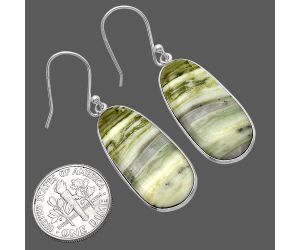 Natural Serpentine Earrings SDE79359 E-1001, 13x28 mm