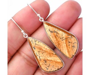 Picture Jasper Earrings SDE79897 E-1001, 14x31 mm