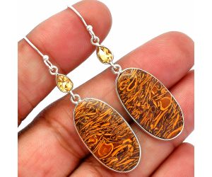 Coquina Fossil Jasper and Citrine Earrings SDE82517 E-1002, 16x25 mm