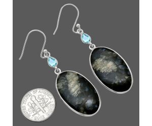 Llanite Blue Opal Crystal Sphere and Sky Blue Topaz Earrings SDE85773 E-1002, 16x27 mm
