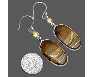 Iron Tiger Eye and Citrine Earrings SDE86050 E-1002, 14x25 mm