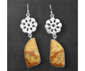 American Picture Jasper Earrings SDE86144 E-1094, 13x27 mm