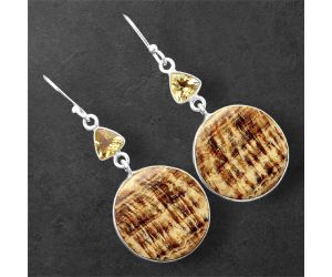 Brown Aragonite and Citrine Earrings SDE86185 E-1002, 19x19 mm