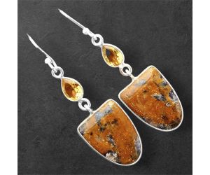 Indian Blanket Jasper and Citrine Earrings SDE86186 E-1002, 13x17 mm