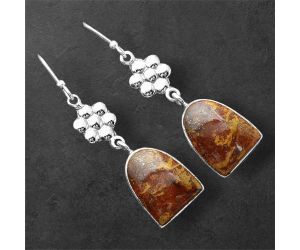 Rare Cady Mountain Agate Earrings SDE86234 E-1094, 12x15 mm