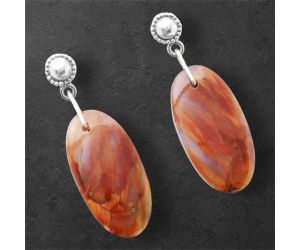 Pietersite Earrings SDE86585 E-1227, 12x24 mm