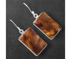 Pietersite Earrings SDE86596 E-1001, 13x21 mm